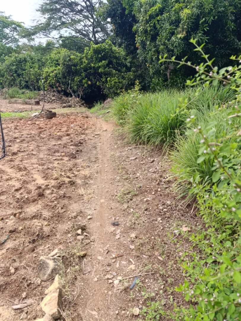 Rivera, Ulloa, Rivera, Huila, Colombia 4