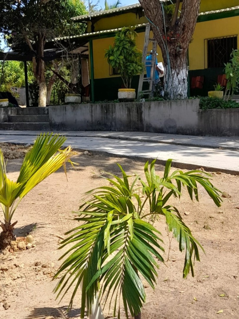 Via Santo Tomas - Polonuevo, Santo Tomás, Atlántico, Colombia 3