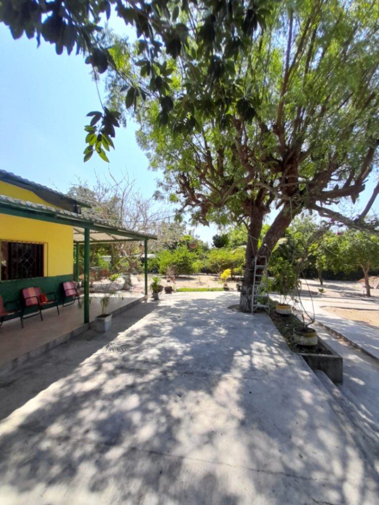 Via Santo Tomas - Polonuevo, Santo Tomás, Atlántico, Colombia 5