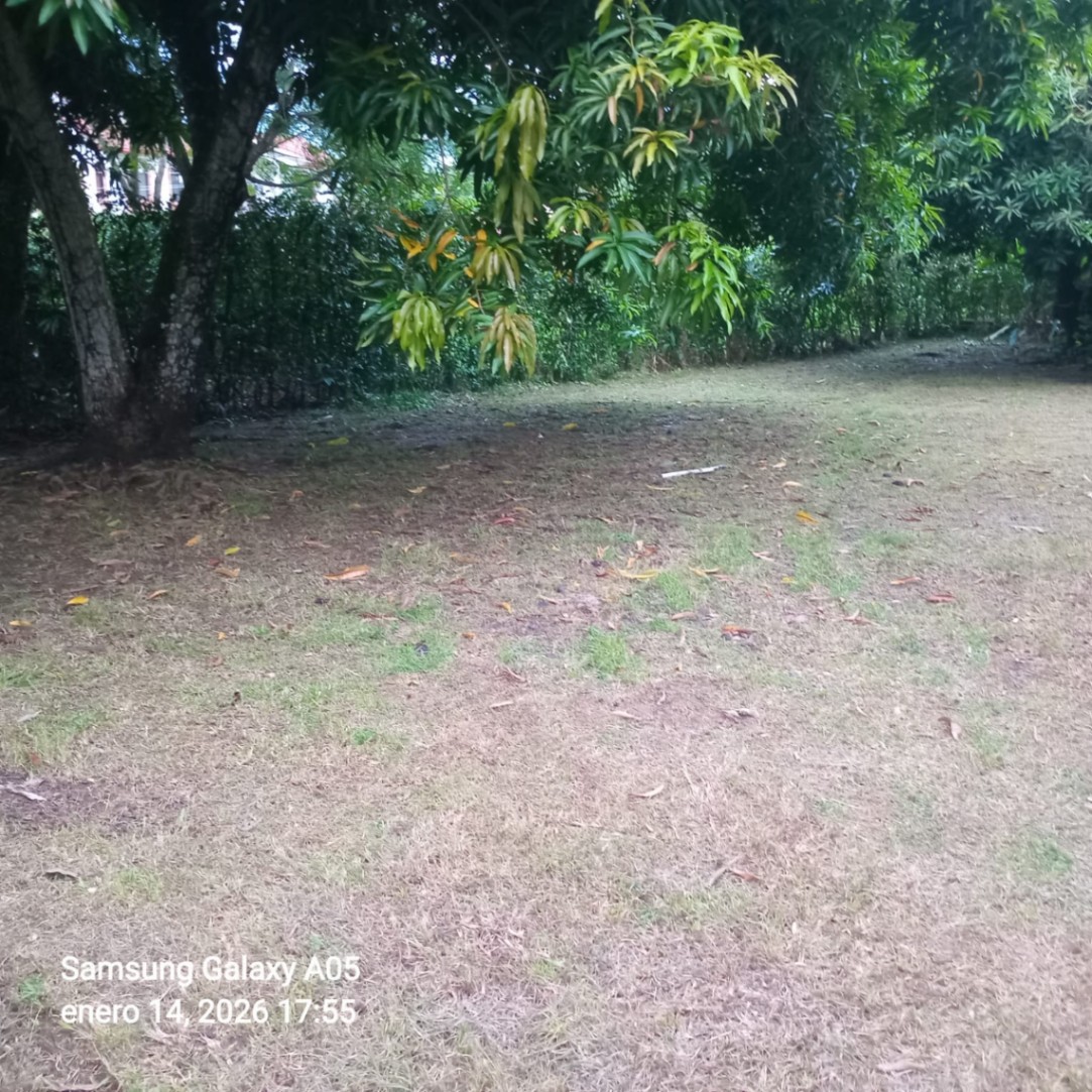 Melgar-Carmen De Apicalá, Melgar, Tolima, Colombia 3