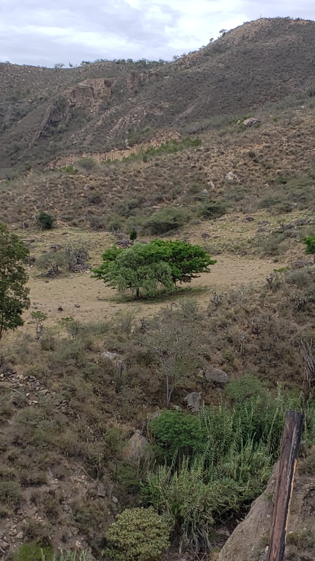 Vías Boavita, Boavita, Boyacá, Colombia 5