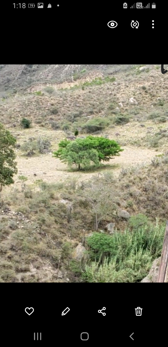 Vías Boavita, Boavita, Boyacá, Colombia 3