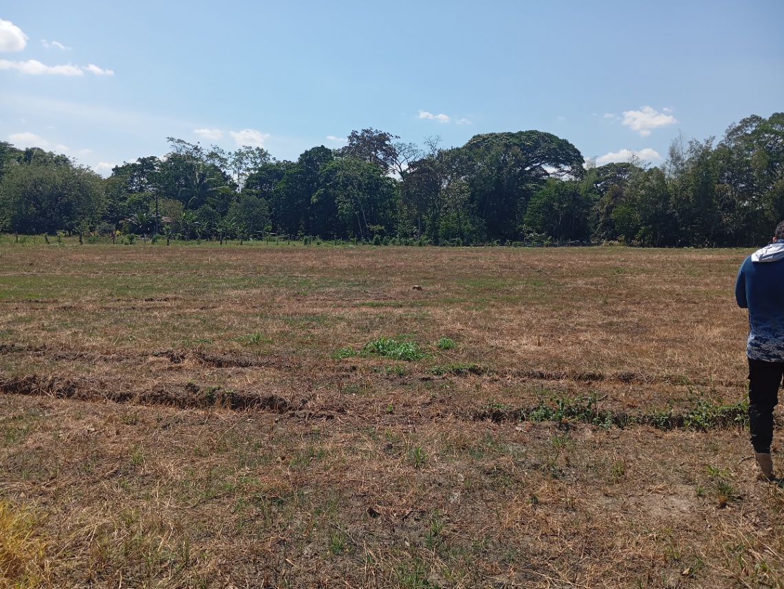 Aguas Claras-Lejanías, Granada, Meta, Colombia 4