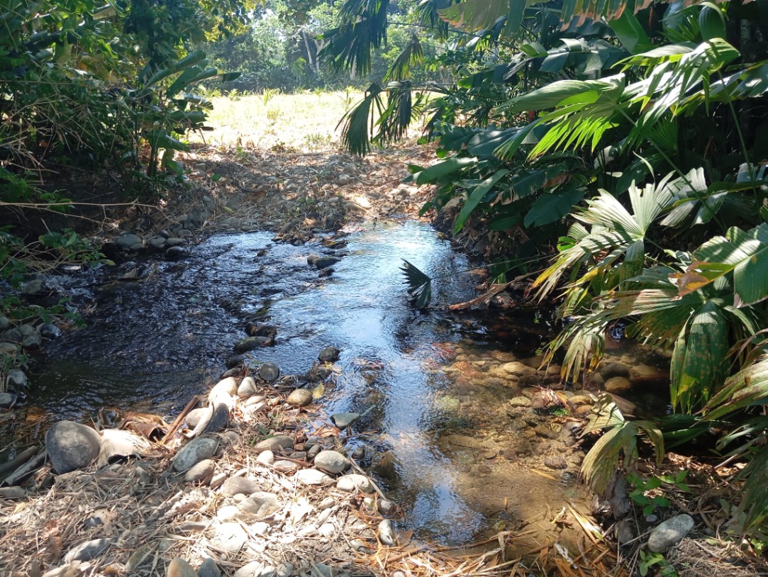 Aguas Claras-Lejanías, Granada, Meta, Colombia 5