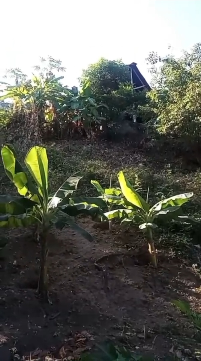 Bogotá ‎-La Caro, Bogotá, Colombia 4