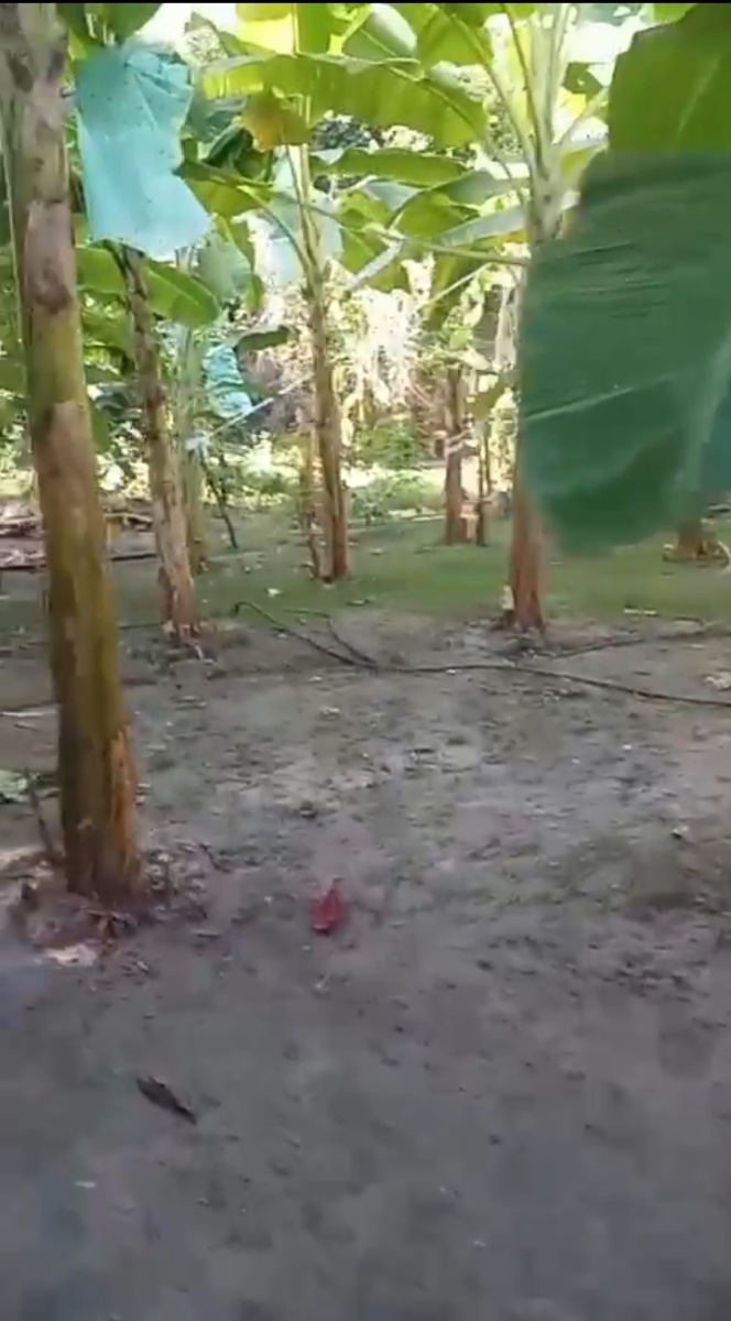 Bogotá ‎-La Caro, Bogotá, Colombia 5