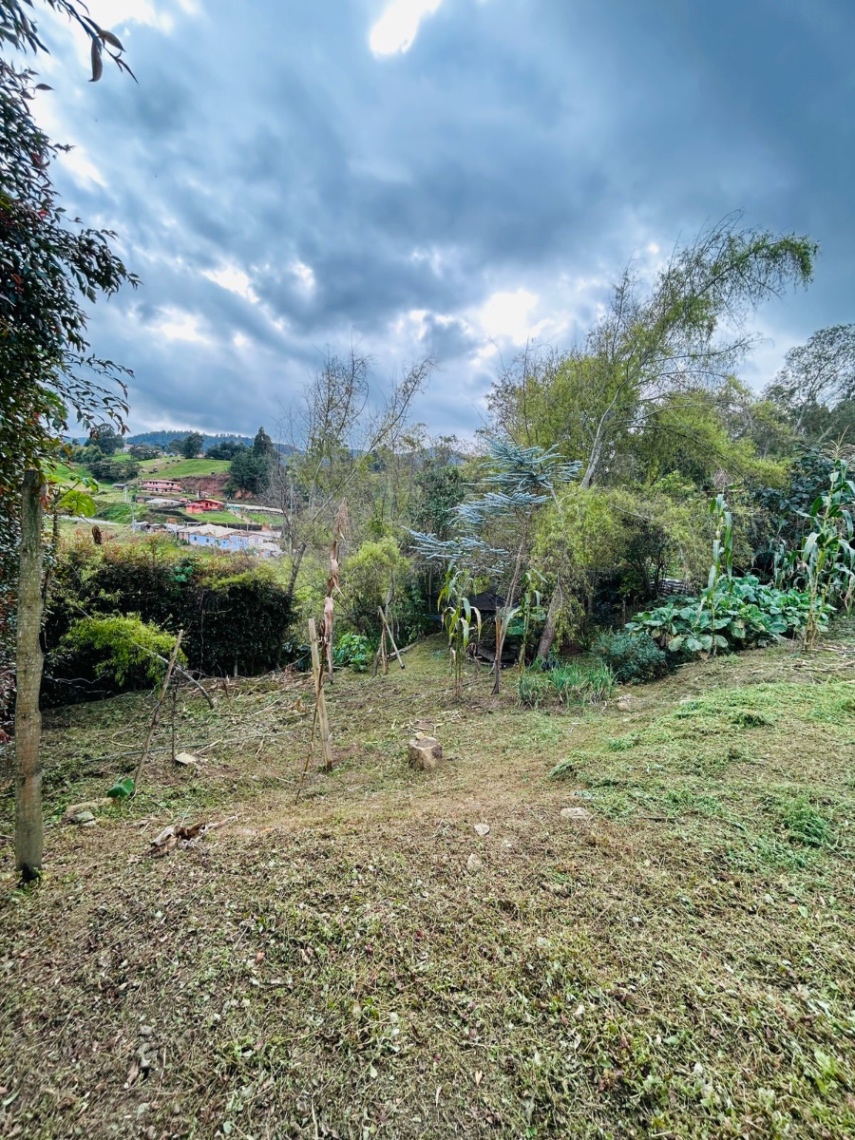 Vía San Pedro De Los Milagros, Bello, Antioquia, Colombia 4