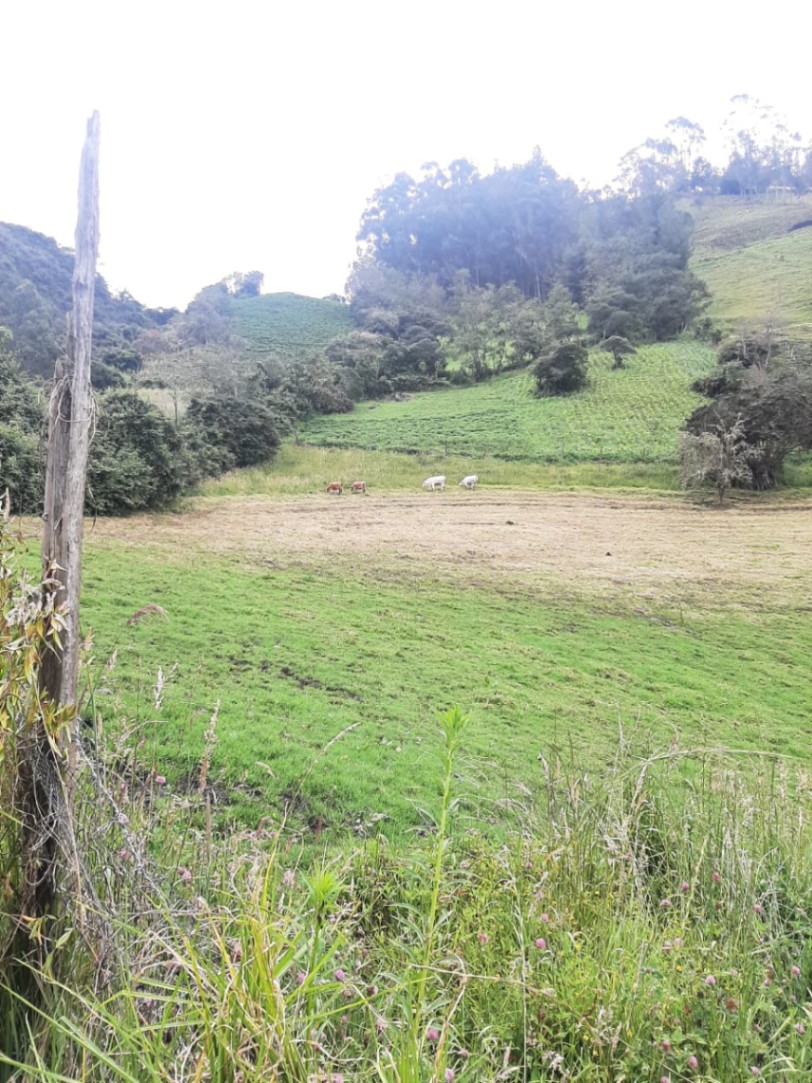 Turmeque - Nuevo Colon, Turmequé, Boyacá, Colombia 3