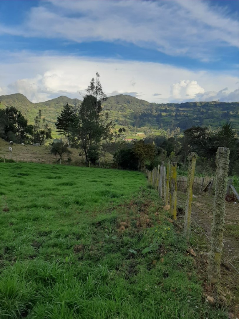 Turmeque - Nuevo Colon, Turmequé, Boyacá, Colombia 5