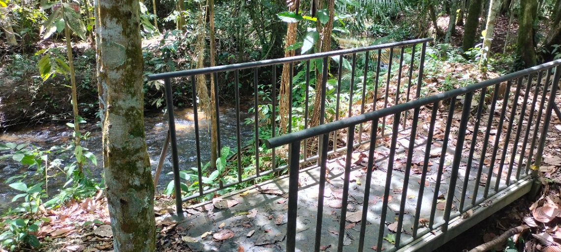 Vda. Barcelona, Villavicencio, Meta, Colombia 3