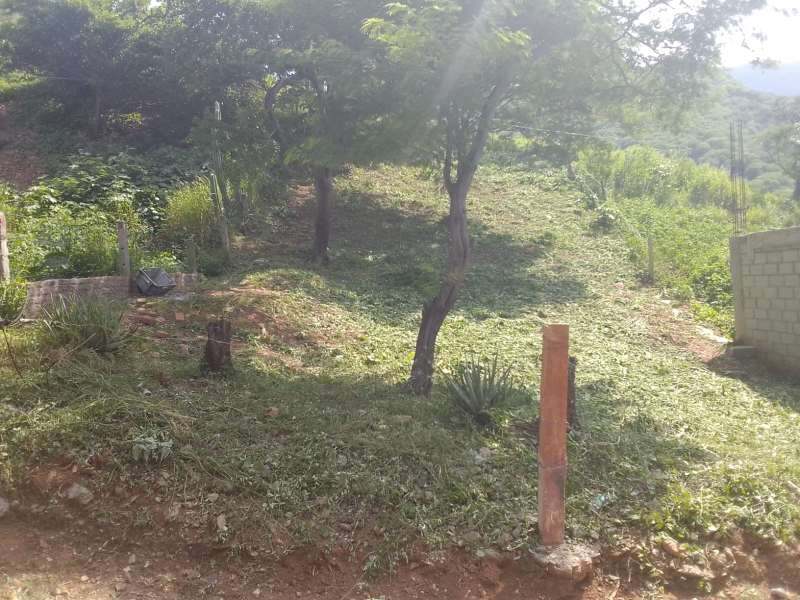Playa Taganga, Taganga, Santa Marta, Magdalena, Colombia 5