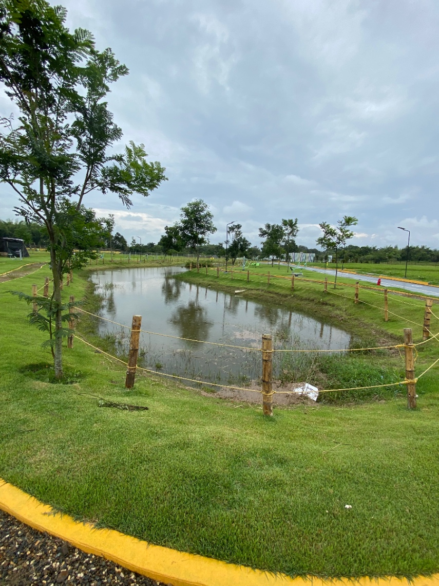 Cali Alto, Comuna 17, Cali, Valle del Cauca, Colombia 5