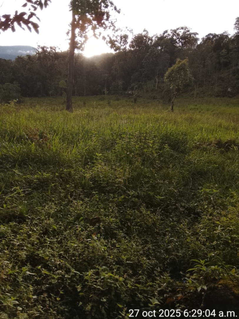 Villarrica, Tolima, Colombia 4