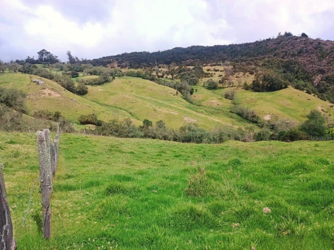 Bogotá - La Calera, Bogotá, Colombia 3