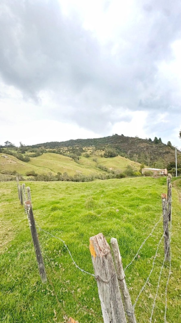 Bogotá - La Calera, Bogotá, Colombia 4