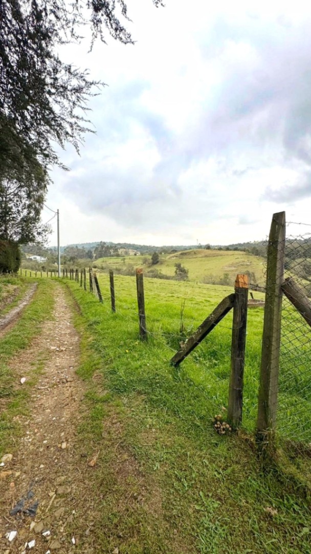 Bogotá - La Calera, Bogotá, Colombia 5