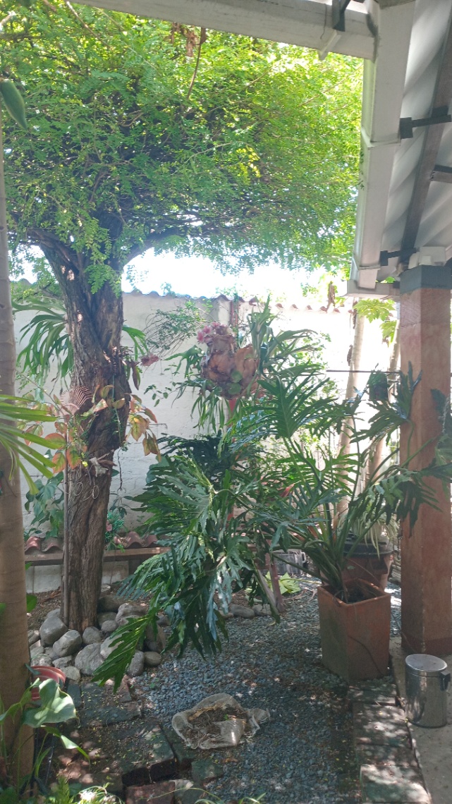 Cra. 23 # 32-31, Palmira, Valle del Cauca, Colombia