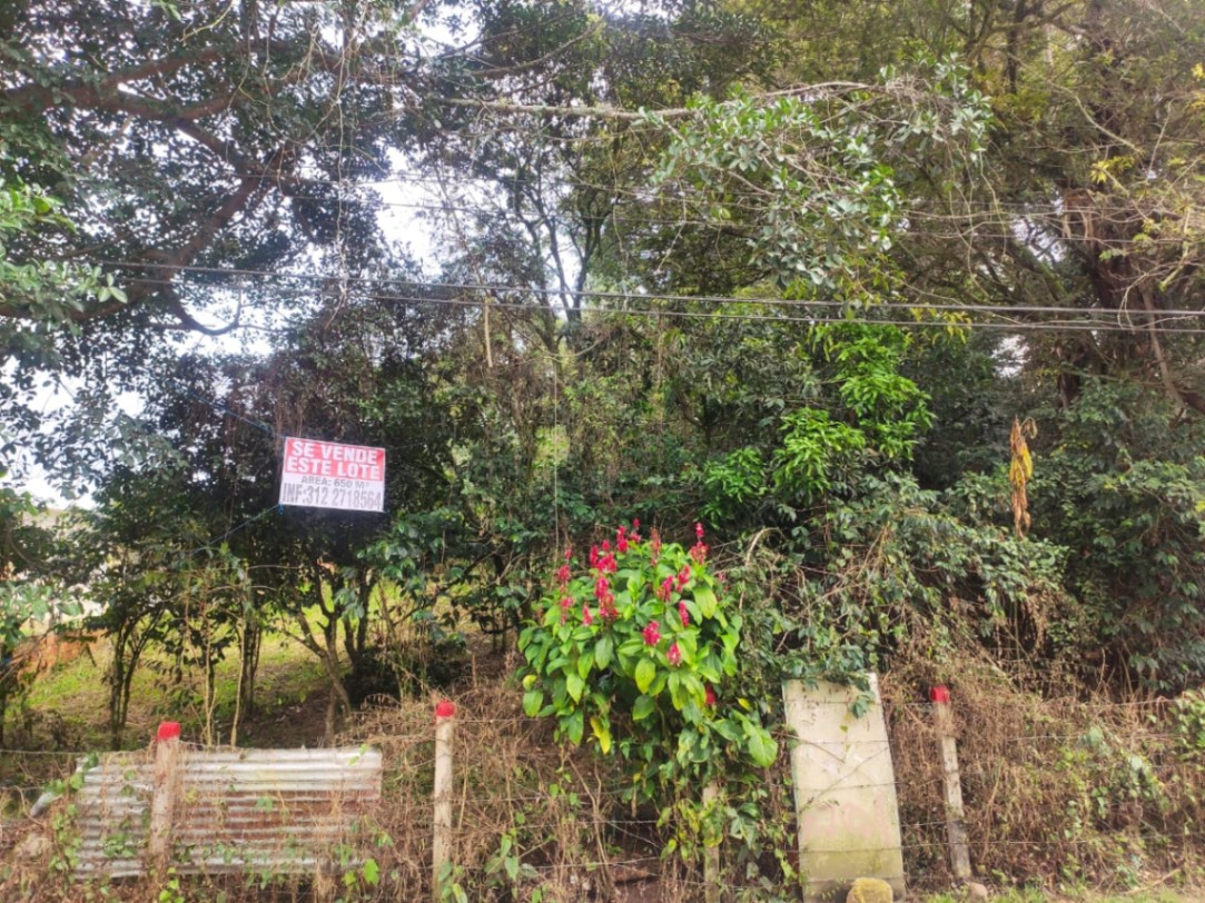 Silvania-Granada, Silvania, Cundinamarca, Colombia 3