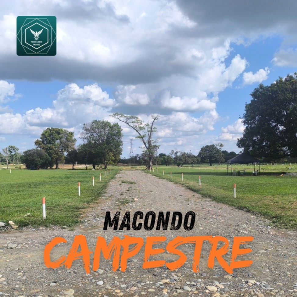 Vía Acacías - Dinamarca - Surimena, Acacías, Meta, Colombia 3