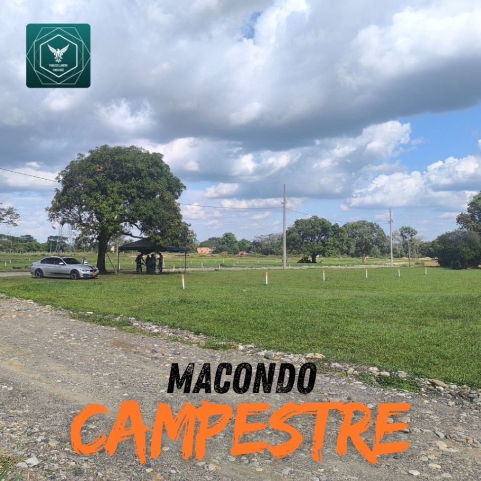 Vía Acacías - Dinamarca - Surimena, Acacías, Meta, Colombia 4