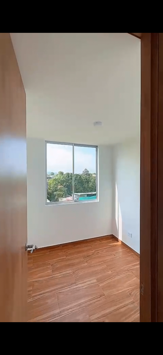 Ibague-Gualanday, Ibagué, Tolima, Colombia 4