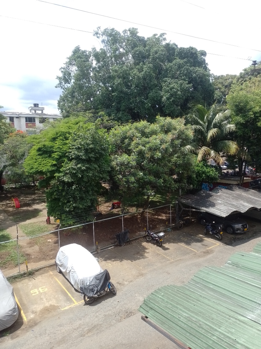 Cl. 12 # 39-21, Pasoancho, Cali, Valle del Cauca, Colombia 3