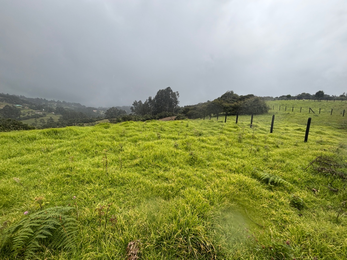 Cajica-Tabio, Cajicá, Cundinamarca, Colombia 4