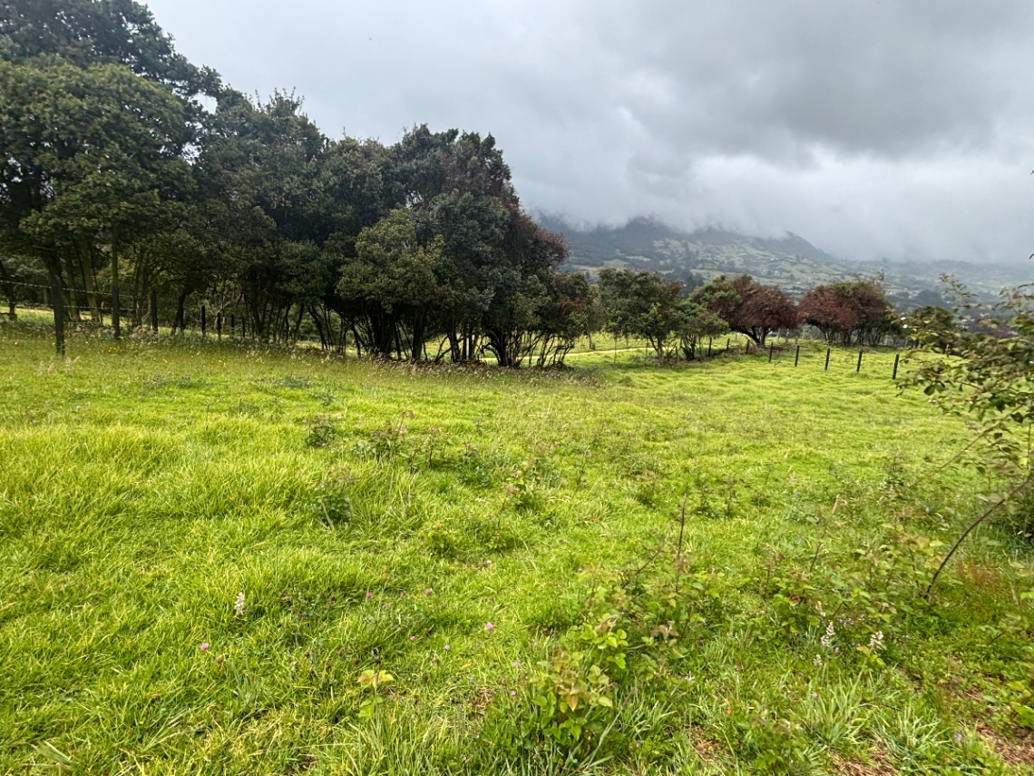 Cajica-Tabio, Cajicá, Cundinamarca, Colombia 5