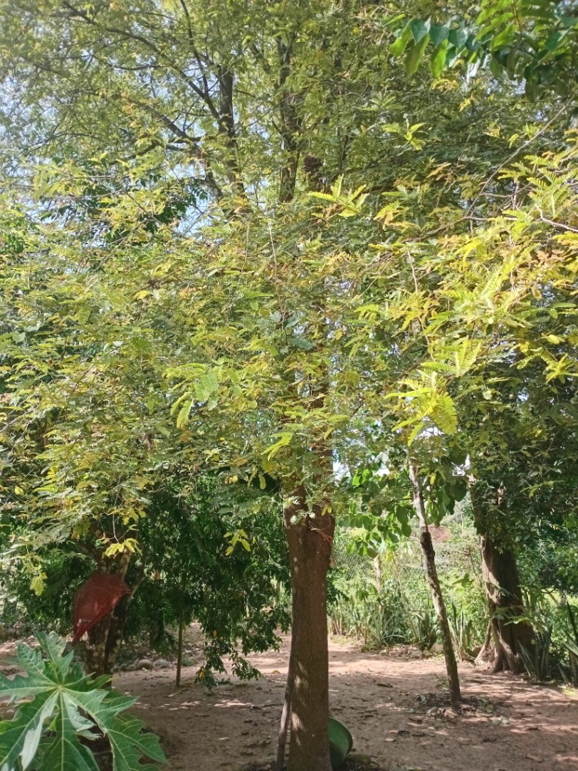 Via Dibulla, Dibulla, La Guajira, Colombia 4