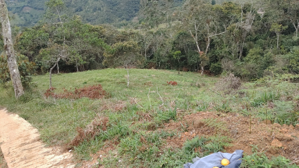 Cali - Dagua, Cali, Valle del Cauca, Colombia 3