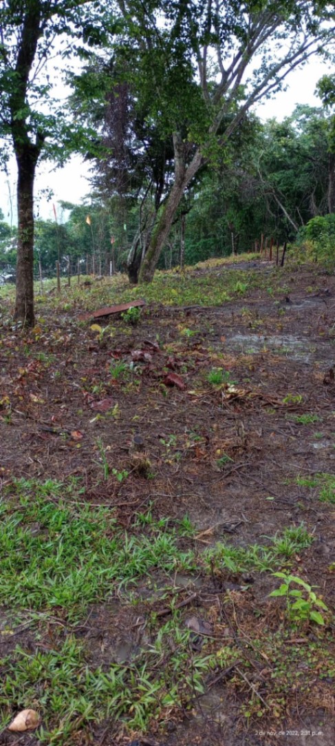 Represa De Prado, Prado, Tolima, Colombia 4