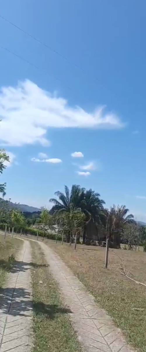 Lote en venta en Carmen de Apicalá