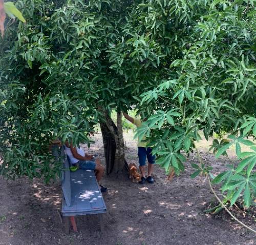 Lote en venta en Melgar