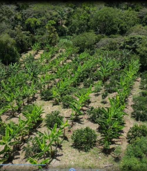 Finca en venta en San Gil