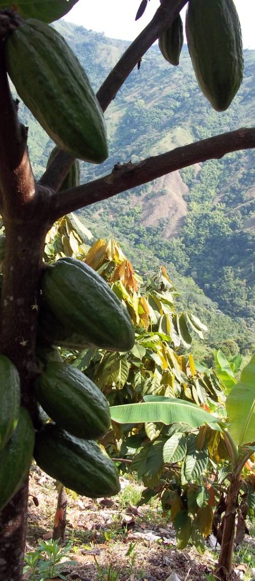 Finca en venta en Líbano