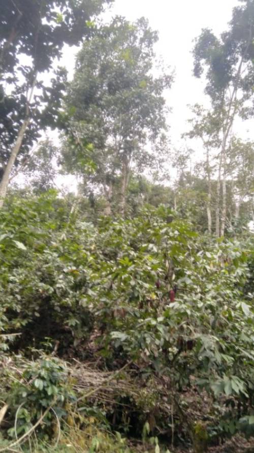 Finca en venta en Bucaramanga
