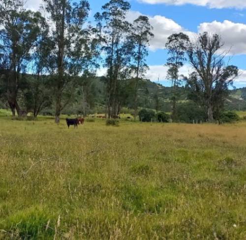 Finca en venta en Tuta