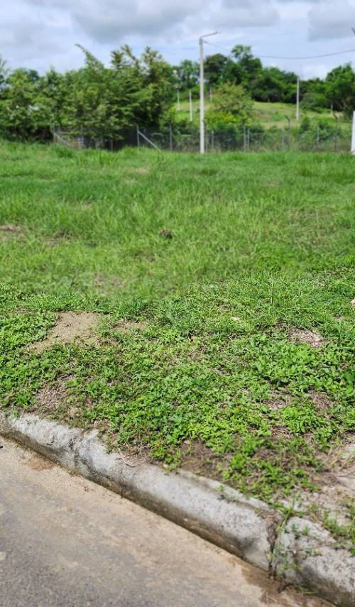 Lote en venta en Carmen de Apicalá