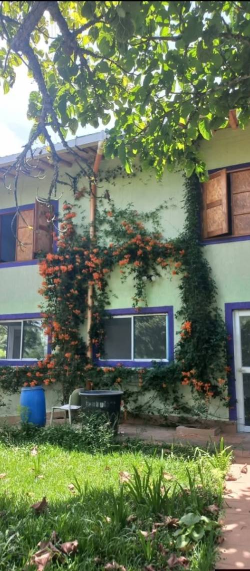 Casa en arriendo en Quimbaya