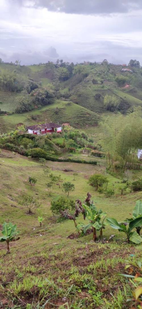 Lote en venta en Peñol