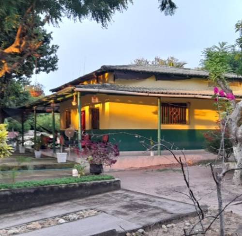 Finca en venta en Santo Tomás