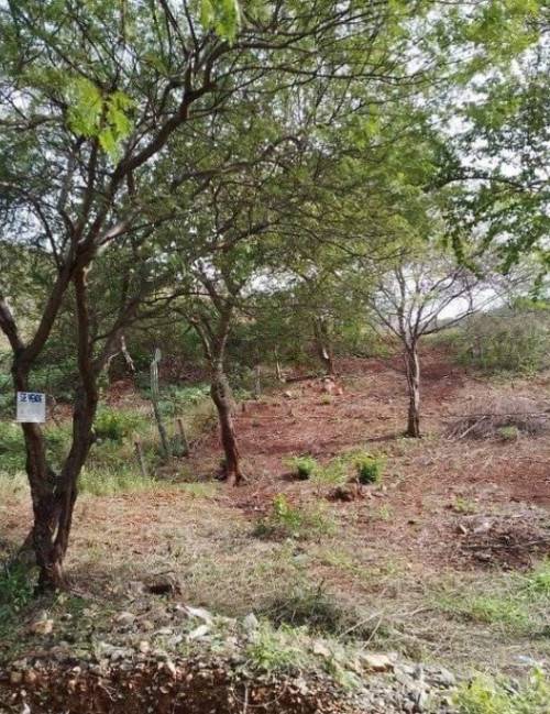Lote en venta en Santa Marta