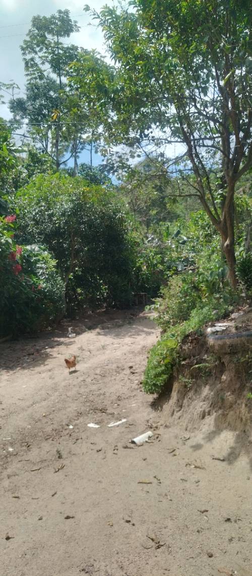 Finca en venta en Ibagué