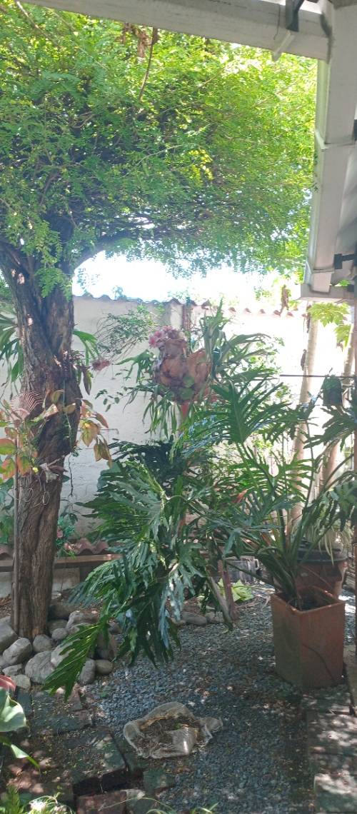 Casa en venta en Palmira