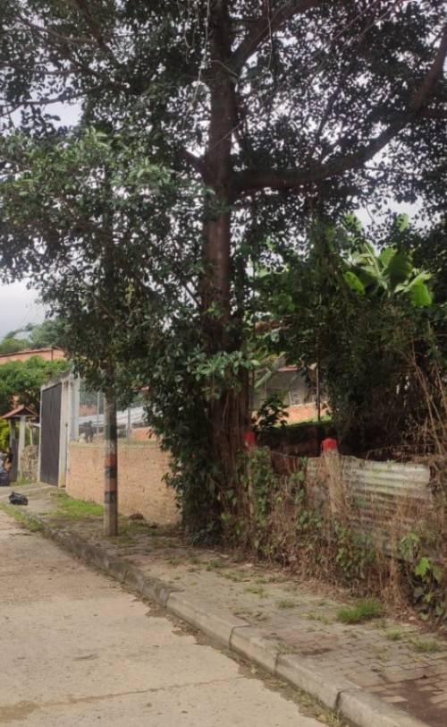 Lote en venta en Silvania