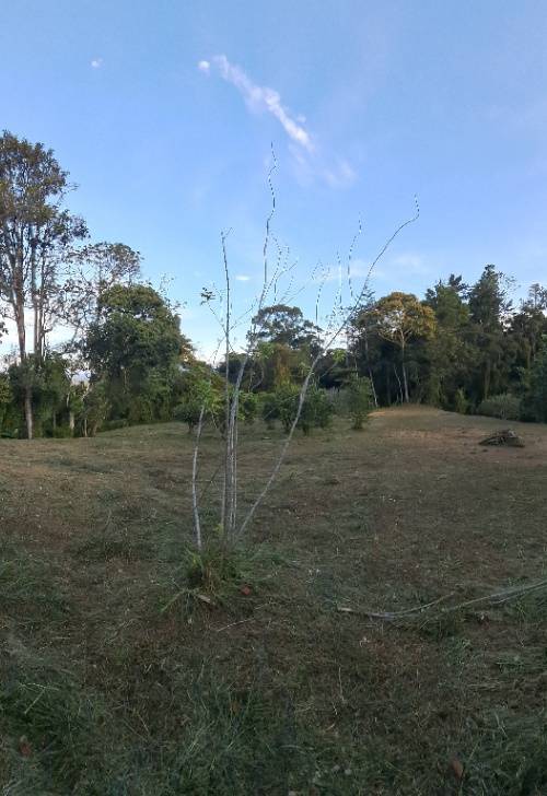 Lote en venta en Rionegro